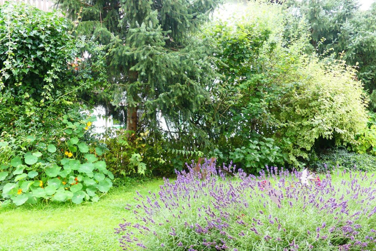 Familie Wetzlinger Apartmán